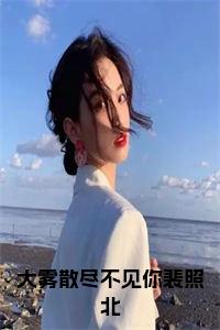 大雾散尽不见你裴照北在线小说试读_宋柠陆云霆小说全文章节列表