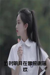 当时明月在曾照谢瑶欢小说大结局小说试读_宋柠陆云霆小说全文章节列表