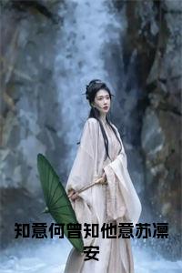 知意何曾知他意苏凛安小说试读_宋柠陆云霆小说全文章节列表
