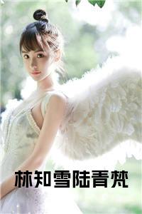 林知雪陆青梵小说试读_宋柠陆云霆小说全文章节列表