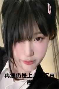 再遇仍是上上签沈京墨小说结局小说试读_宋柠陆云霆小说全文章节列表