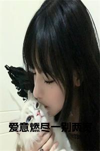 爱意燃尽一别两宽小说在线小说试读_宋柠陆云霆小说全文章节列表