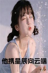 他携星辰向云端小说试读_宋柠陆云霆小说全文章节列表