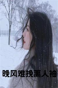 晚风难挽离人袖小说试读_宋柠陆云霆小说全文章节列表