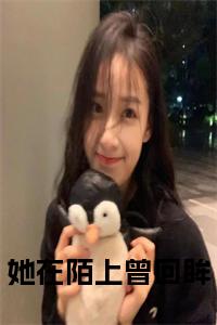 她在陌上曾回眸免费阅读小说试读_宋柠陆云霆小说全文章节列表