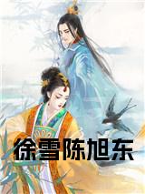 徐雪陈旭东小说试读_宋柠陆云霆小说全文章节列表