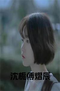 沈栀傅熠辰全文小说试读_宋柠陆云霆小说全文章节列表