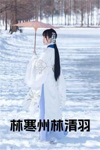 林寒州林清羽在线阅读小说试读_宋柠陆云霆小说全文章节列表