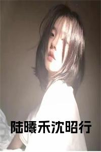 陆曦禾沈昭行免费阅读小说试读_宋柠陆云霆小说全文章节列表