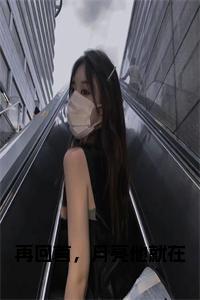 再回首，月亮他就在全文+后续小说试读_宋柠陆云霆小说全文章节列表