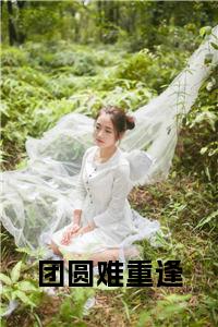团圆难重逢全文+后续小说试读_宋柠陆云霆小说全文章节列表