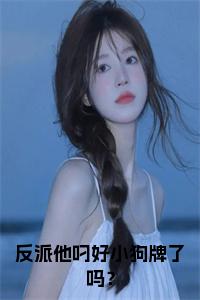 反派他叼好小狗牌了吗？小说免费小说试读_宋柠陆云霆小说全文章节列表