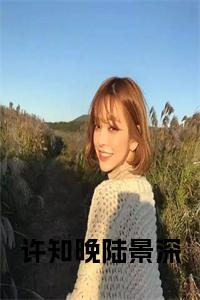 许知晚陆景深后续阅读小说试读_宋柠陆云霆小说全文章节列表