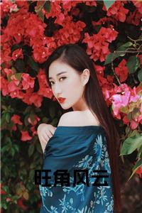 旺角风云大结局+番外小说试读_宋柠陆云霆小说全文章节列表