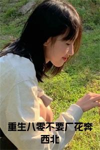 重生八零不要厂花奔西北全文小说试读_宋柠陆云霆小说全文章节列表