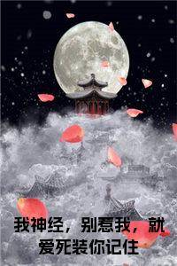 我神经，别惹我，就爱死装你记住大结局+番外小说试读_宋柠陆云霆小说全文章节列表