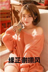 缘芷谢翊风在线阅读小说试读_宋柠陆云霆小说全文章节列表