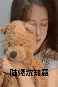 陆燃沈知意结局+番外小说试读_宋柠陆云霆小说全文章节列表