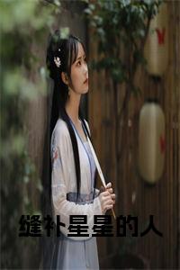 缝补星星的人正版小说试读_宋柠陆云霆小说全文章节列表