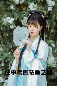 往事藏匿枯鱼之肆大结局+番外小说试读_宋柠陆云霆小说全文章节列表