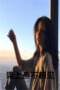 梁上燕不相见正版小说小说试读_宋柠陆云霆小说全文章节列表