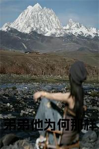 弟弟他为何那样结局+番外小说试读_宋柠陆云霆小说全文章节列表