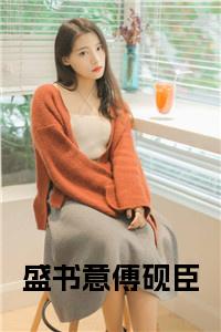 盛书意傅砚臣全文+后续小说试读_宋柠陆云霆小说全文章节列表