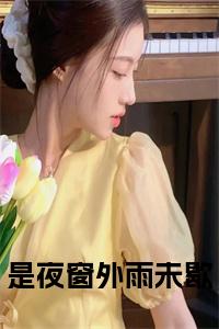 是夜窗外雨未歇全文小说试读_宋柠陆云霆小说全文章节列表