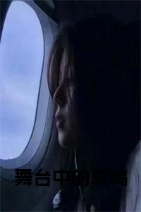 舞台中的哀鸣全文下载小说试读_宋柠陆云霆小说全文章节列表