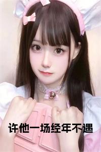 许他一场经年不遇小说