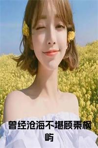 曾经沧海不堪顾秦枫屿全文+后续