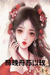 林晚舟苏以玫正版