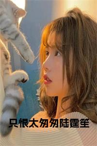 只恨太匆匆陆霆笙