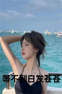 独家沈瓷靳砚修小说(等不到白发苍苍)（沈瓷靳砚修）电子书畅享阅读