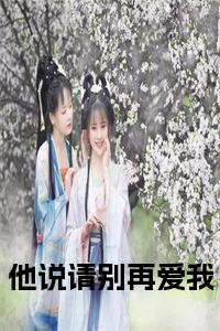 他说请别再爱我完结篇（傅聿深叶清漪）全篇免费版在线+无障碍结局